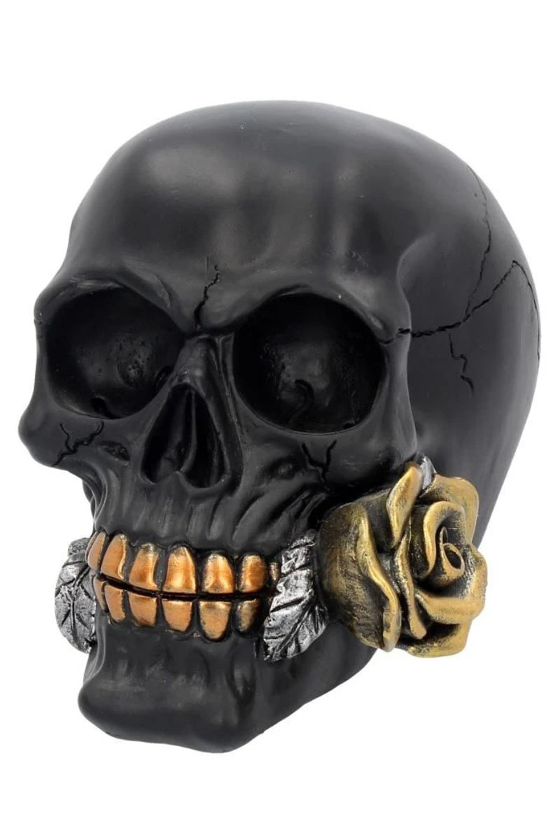 Nemesis Now - Black Rose from the Dead Skull Gothic Decor