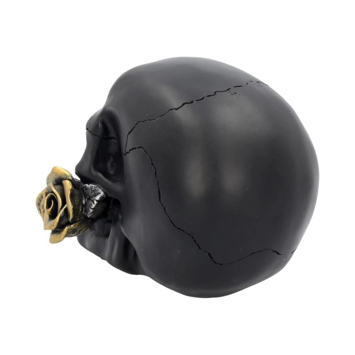 Nemesis Now - Black Rose from the Dead Skull Gothic Decor
