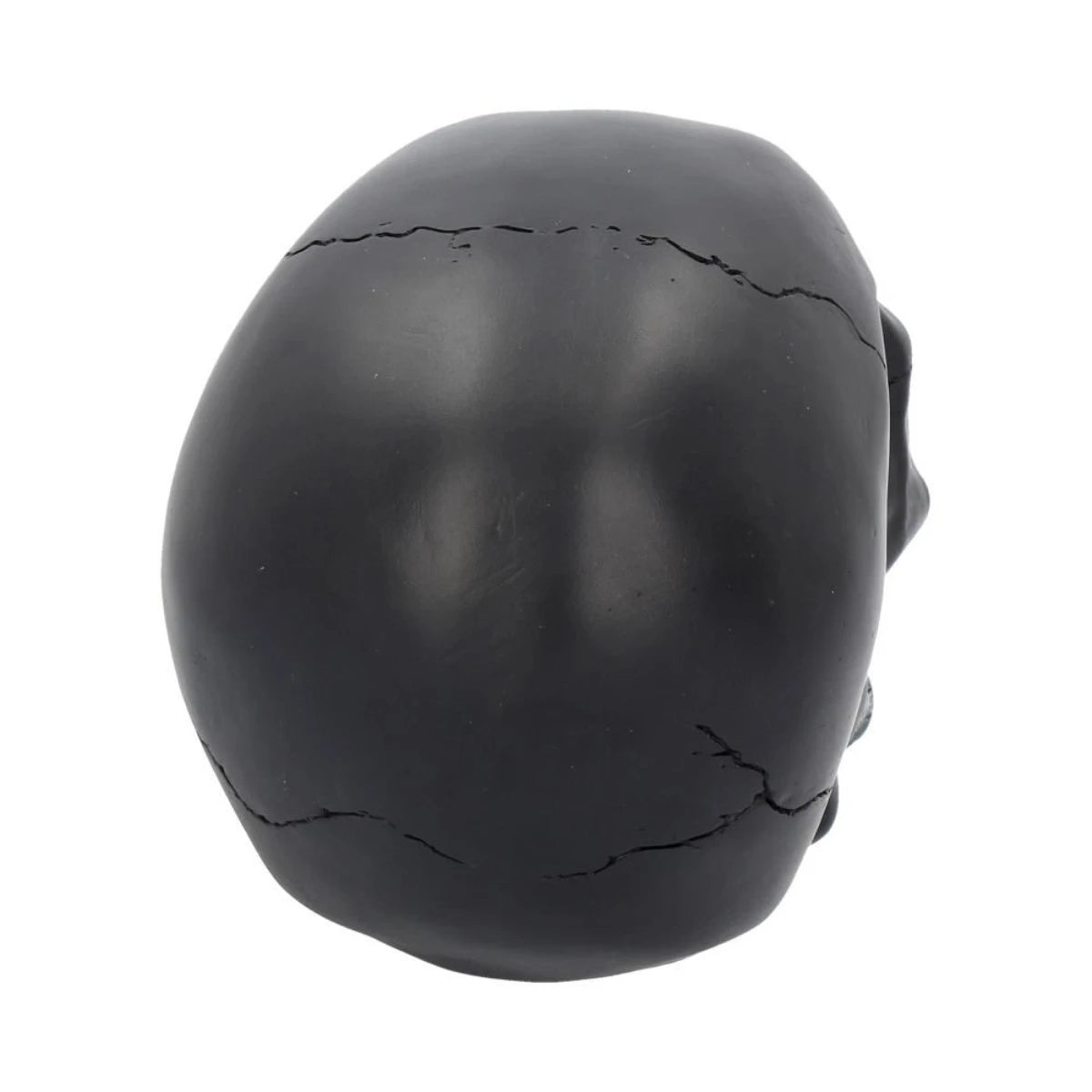Nemesis Now - Black Rose from the Dead Skull Gothic Decor