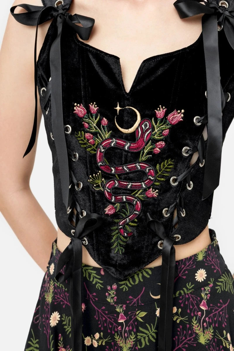 Restyle Enchanted Encounters Corset Top, Gothic Velvet Snake