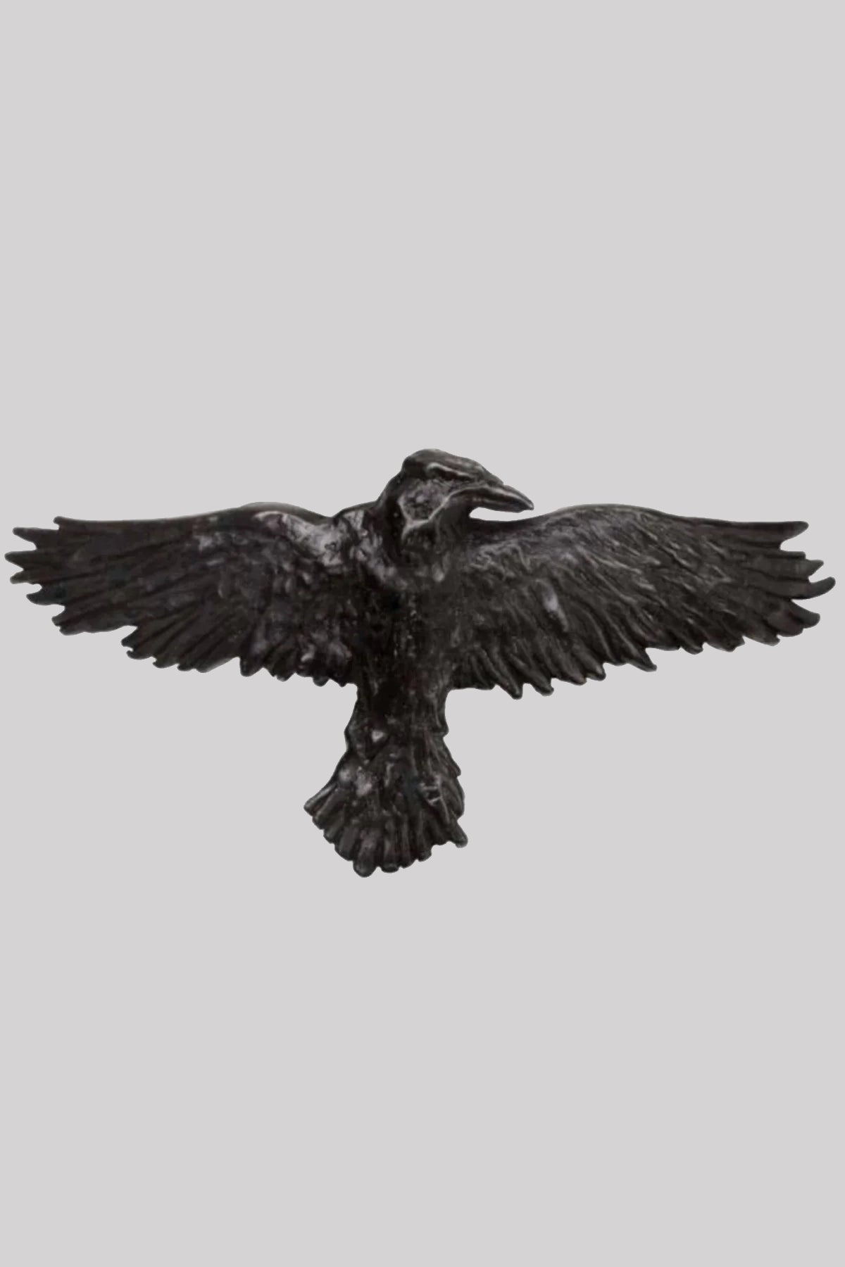 Alchemy England Black Raven Gothic Cute Hair Clip