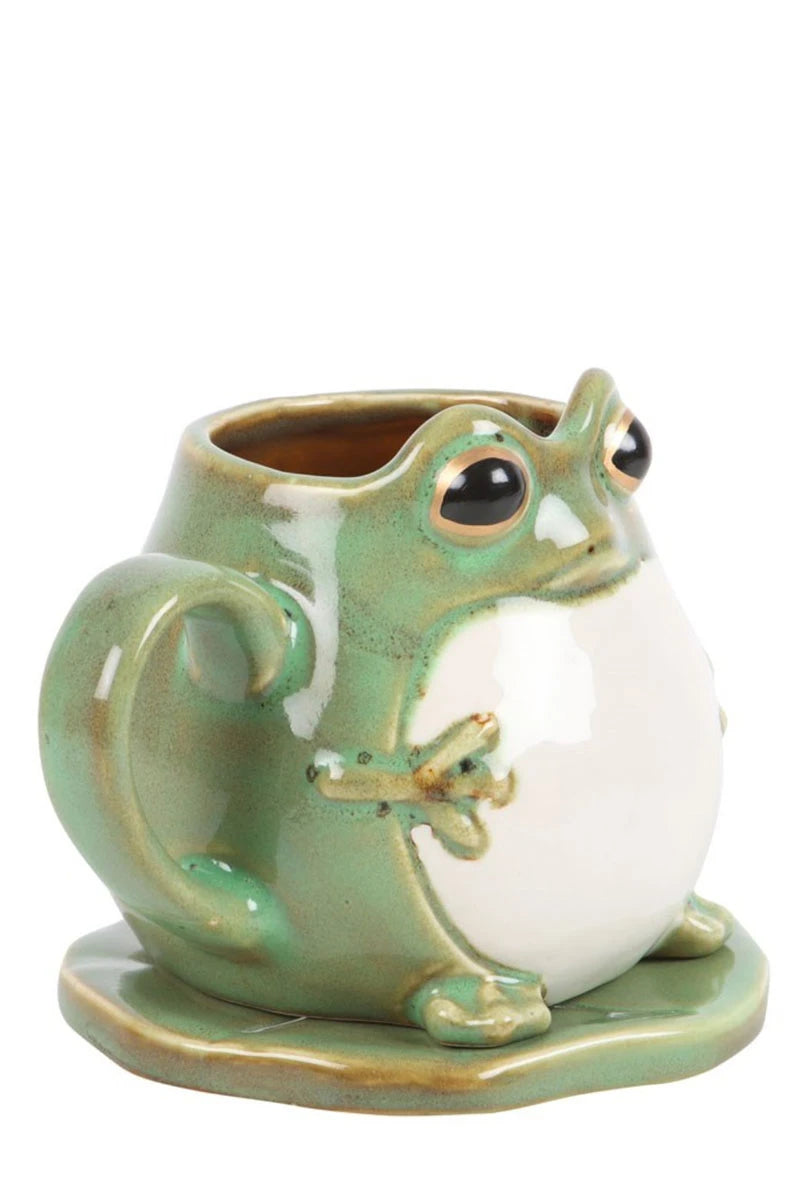 Frog Shaped Mug and Lily Pad Saucer – Ceramic Coffee Cup | Ro Rox