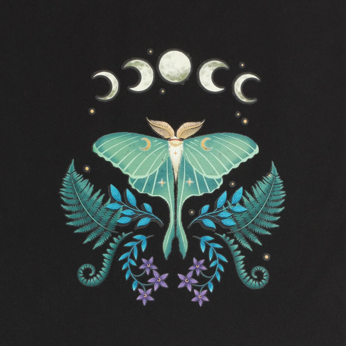 Luna Moth Moon Phase Canvas Tote Bag – Black Witchy Shopper