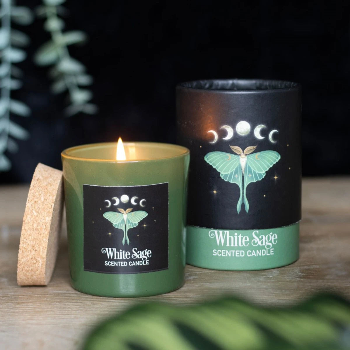 Luna Moth White Sage Candle Green Jar, Cork Lid, Moon Phases